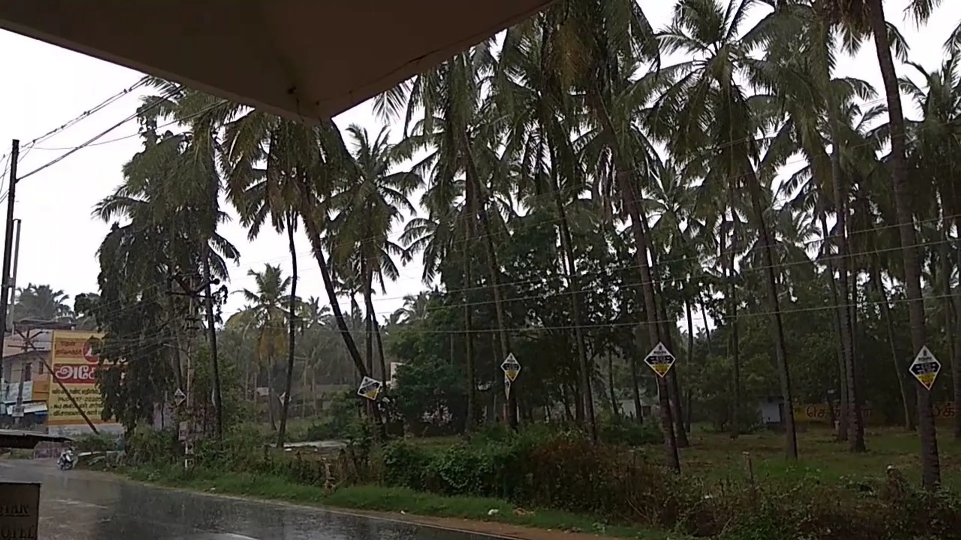 rain